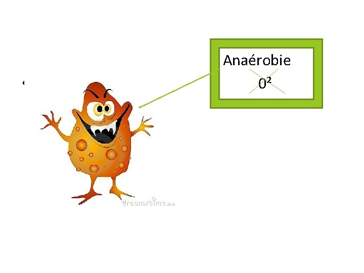  Anaérobie • 0² 