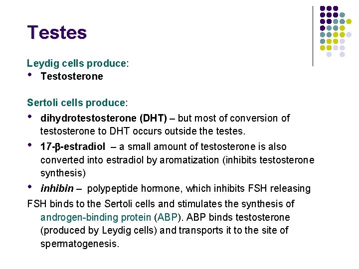 Testes Leydig cells produce: • Testosterone Sertoli cells produce: • • • dihydrotestosterone (DHT)