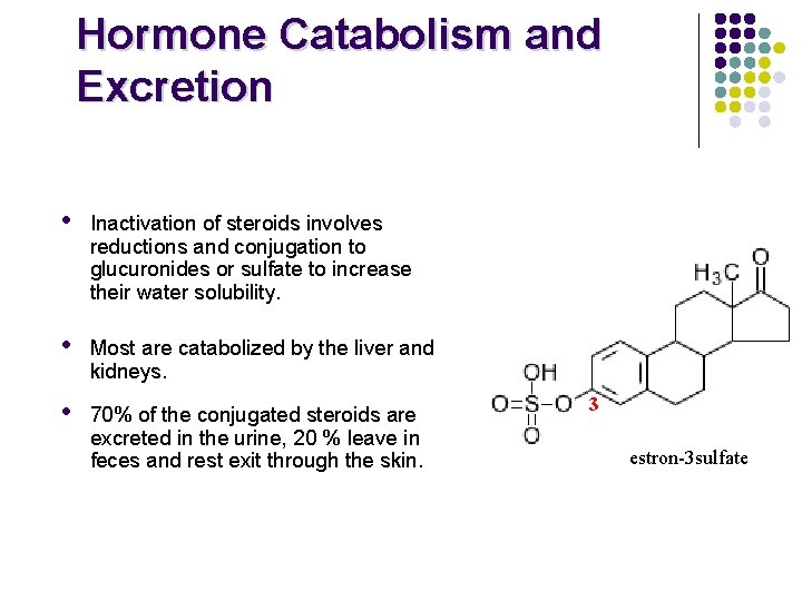 Hormone Catabolism and Excretion • Inactivation of steroids involves reductions and conjugation to glucuronides
