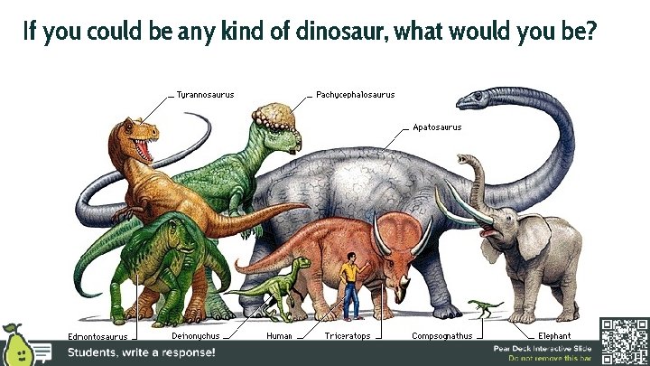 If you could be any kind of dinosaur, what would you be? 