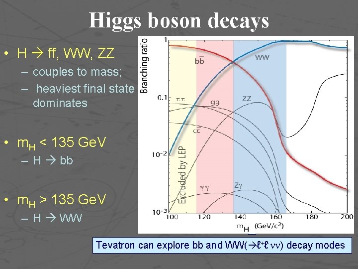 Higgs boson decays • H ff, WW, ZZ – couples to mass; – heaviest