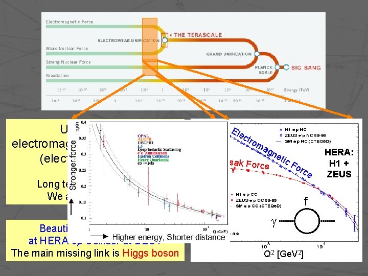 Unification of electromagnetic & weak forces (electroweak theory) Ele ctr om ag Weak Forc