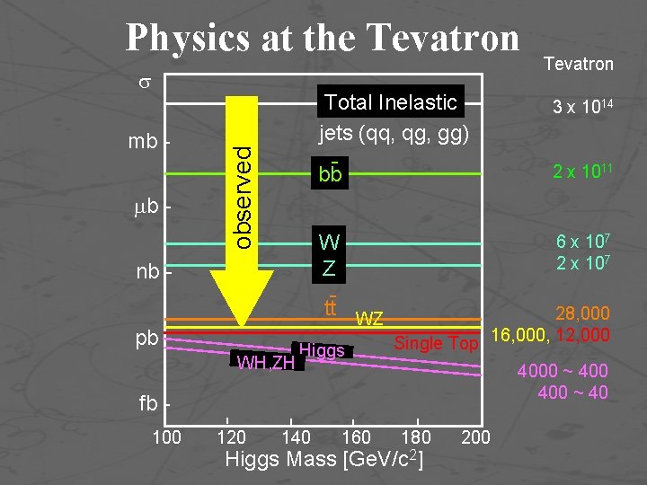 Physics at the Tevatron mb b - observed nb pb WH, ZH Total Inelastic