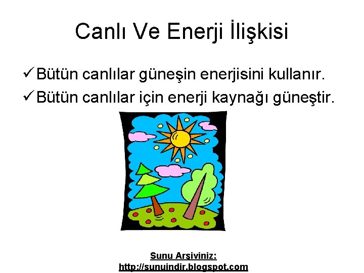 Canlı Ve Enerji İlişkisi ü Bütün canlılar güneşin enerjisini kullanır. ü Bütün canlılar için