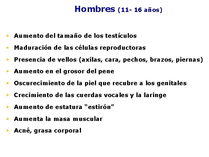 Hombres (11 - 16 años) § Aumento del tamaño de los testículos § Maduración