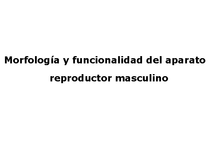 Morfología y funcionalidad del aparato reproductor masculino 
