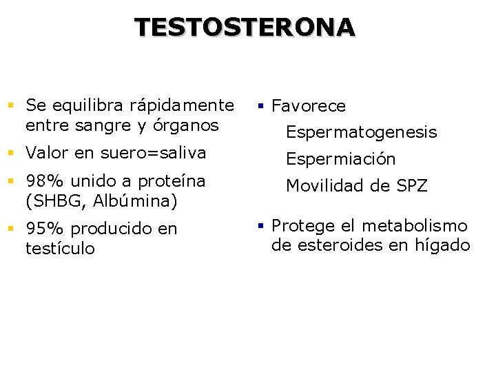 TESTOSTERONA § Se equilibra rápidamente entre sangre y órganos § Favorece Espermatogenesis § Valor