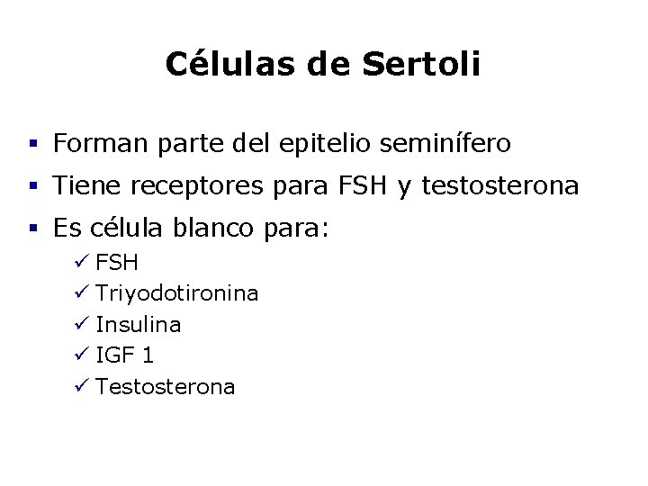 Células de Sertoli § Forman parte del epitelio seminífero § Tiene receptores para FSH