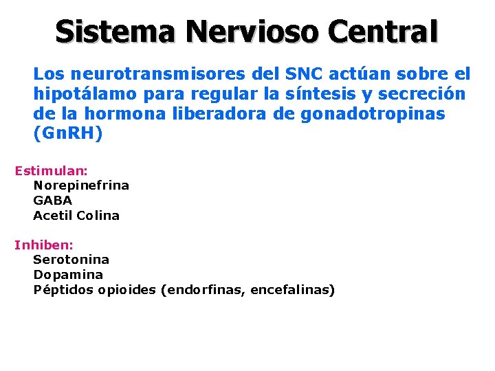 Sistema Nervioso Central Los neurotransmisores del SNC actúan sobre el hipotálamo para regular la