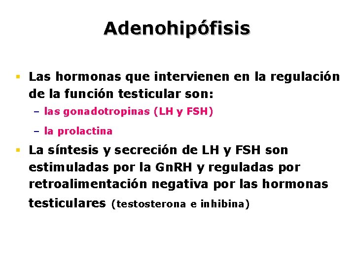 Adenohipófisis § Las hormonas que intervienen en la regulación de la función testicular son: