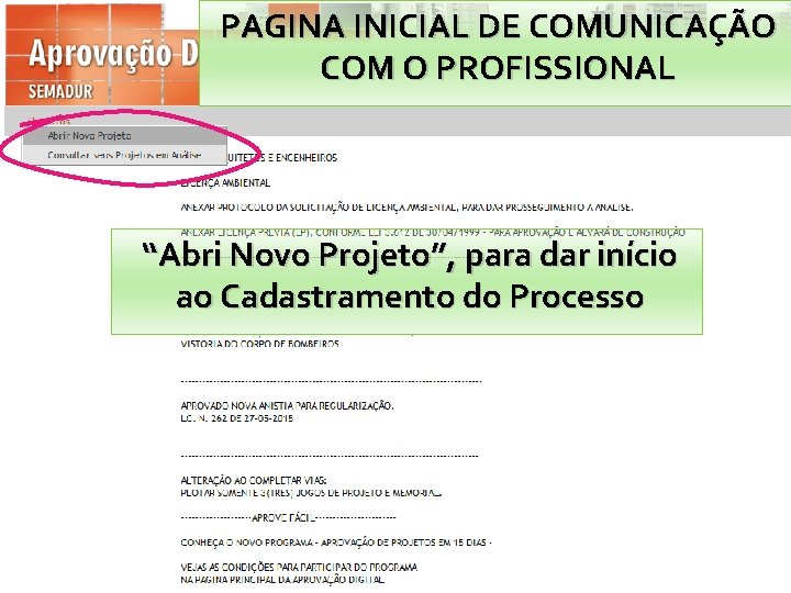 PAGINA INICIAL DE COMUNICAÇÃO COM O PROFISSIONAL “Abri Novo Projeto”, para dar início ao