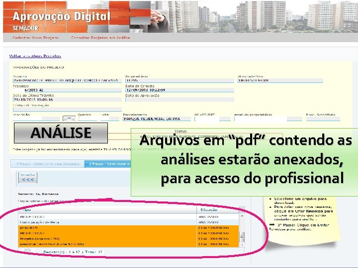 ANÁLISE Arquivos em “pdf” contendo as análises estarão anexados, para acesso do profissional 