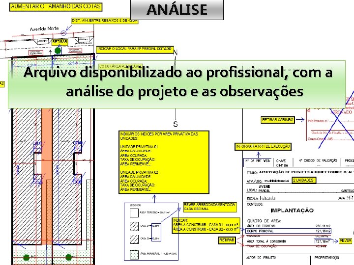 ANÁLISE Arquivo disponibilizado ao profissional, com a análise do projeto e as observações 