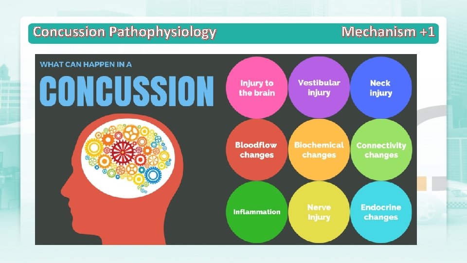 Concussion Pathophysiology Mechanism +1 