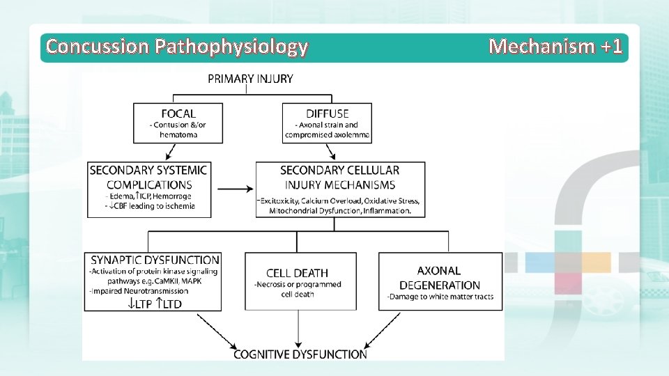 Concussion Pathophysiology Mechanism +1 