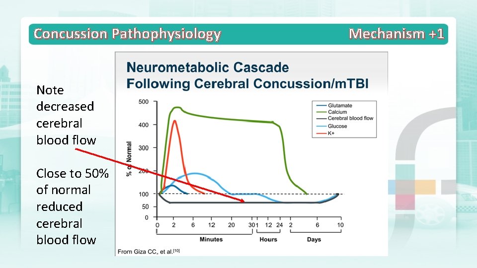 Concussion Pathophysiology Note decreased cerebral blood flow Close to 50% of normal reduced cerebral