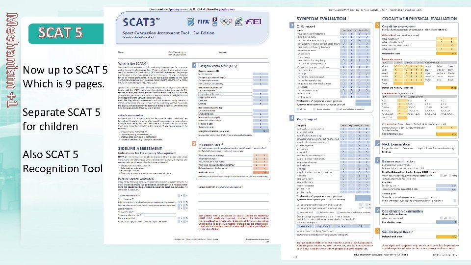 Mechanism +1 SCAT 5 Now up to SCAT 5 Which is 9 pages. Separate