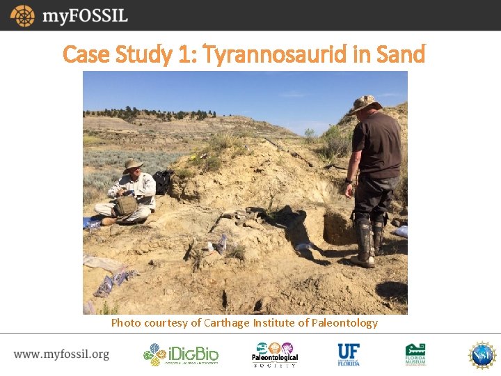 Case Study 1: Tyrannosaurid in Sand Photo courtesy of Carthage Institute of Paleontology 