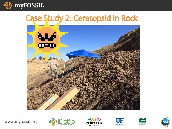 Case Study 2: Ceratopsid in Rock 
