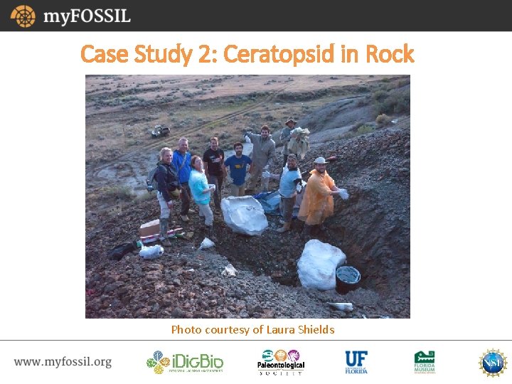 Case Study 2: Ceratopsid in Rock Photo courtesy of Laura Shields 