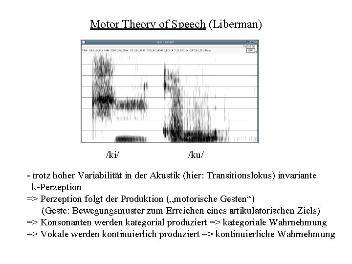 Motor Theory of Speech (Liberman) /ki/ /ku/ - trotz hoher Variabilität in der Akustik