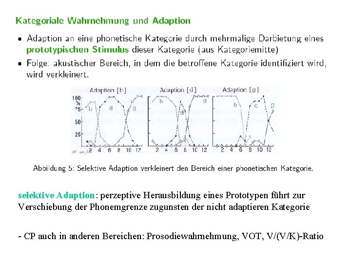 selektive Adaption: perzeptive Herausbildung eines Prototypen führt zur Verschiebung der Phonemgrenze zugunsten der nicht