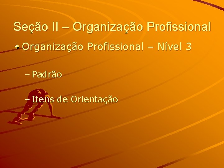 Seção II – Organização Profissional – Nível 3 – Padrão – Itens de Orientação