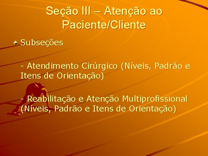 Seção III – Atenção ao Paciente/Cliente Subseções - Atendimento Cirúrgico (Níveis, Padrão e Itens Seção III – Atenção ao Paciente/Cliente Subseções - Atendimento Cirúrgico (Níveis, Padrão e Itens