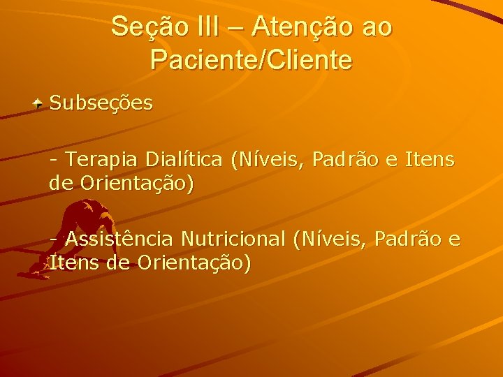 Seção III – Atenção ao Paciente/Cliente Subseções - Terapia Dialítica (Níveis, Padrão e Itens