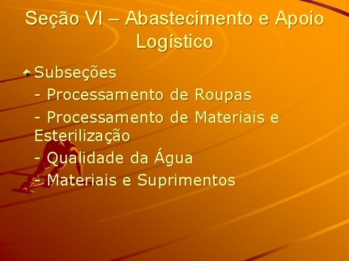 Seção VI – Abastecimento e Apoio Logístico Subseções - Processamento de Roupas - Processamento