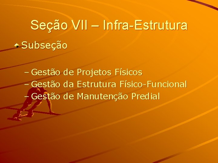 Seção VII – Infra-Estrutura Subseção – Gestão de Projetos Físicos – Gestão da Estrutura