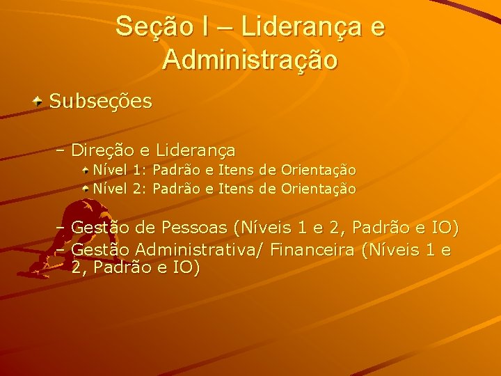 Seção I – Liderança e Administração Subseções – Direção e Liderança Nível 1: Padrão