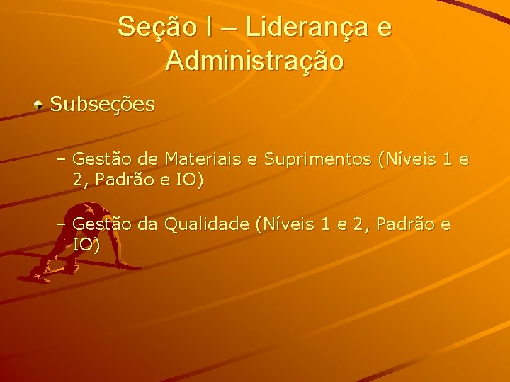 Seção I – Liderança e Administração Subseções – Gestão de Materiais e Suprimentos (Níveis