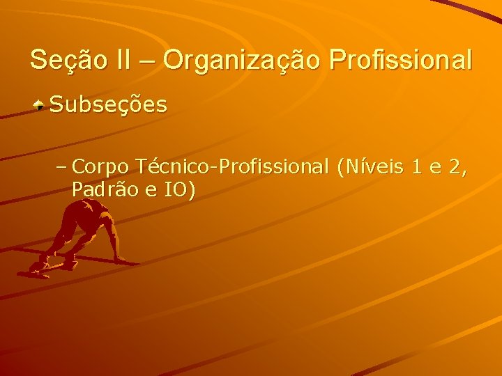 Seção II – Organização Profissional Subseções – Corpo Técnico-Profissional (Níveis 1 e 2, Padrão