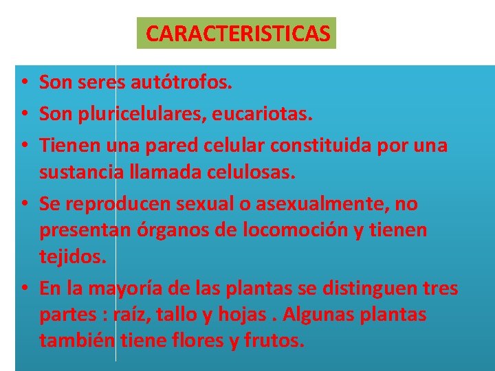 CARACTERISTICAS • Son seres autótrofos. • Son pluricelulares, eucariotas. • Tienen una pared celular CARACTERISTICAS • Son seres autótrofos. • Son pluricelulares, eucariotas. • Tienen una pared celular