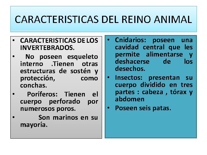 CARACTERISTICAS DEL REINO ANIMAL • CARACTERISTICAS DE LOS INVERTEBRADOS. • No poseen esqueleto interno.