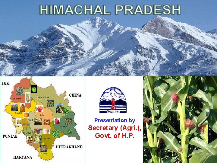 Presentation by Secretary (Agri. ), Govt. of H. P. 