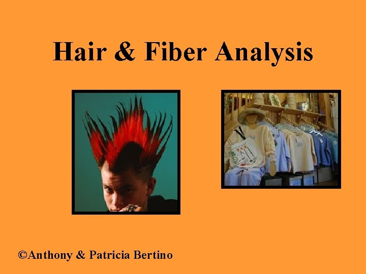 Hair & Fiber Analysis ©Anthony & Patricia Bertino 