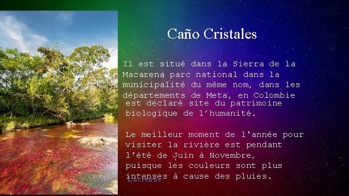 Caño Cristales Il est situé dans la Sierra de la Macarena parc national dans