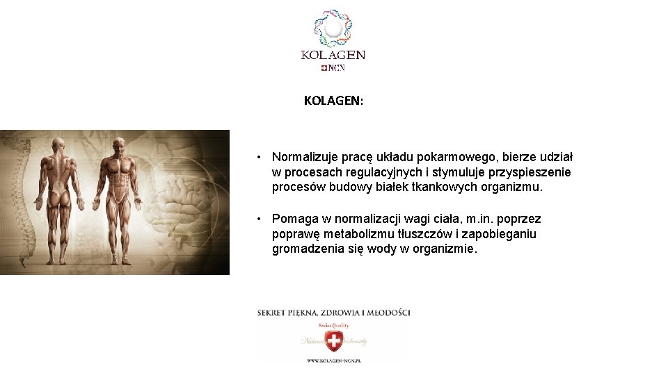KOLAGEN: • Normalizuje pracę układu pokarmowego, bierze udział w procesach regulacyjnych i stymuluje przyspieszenie