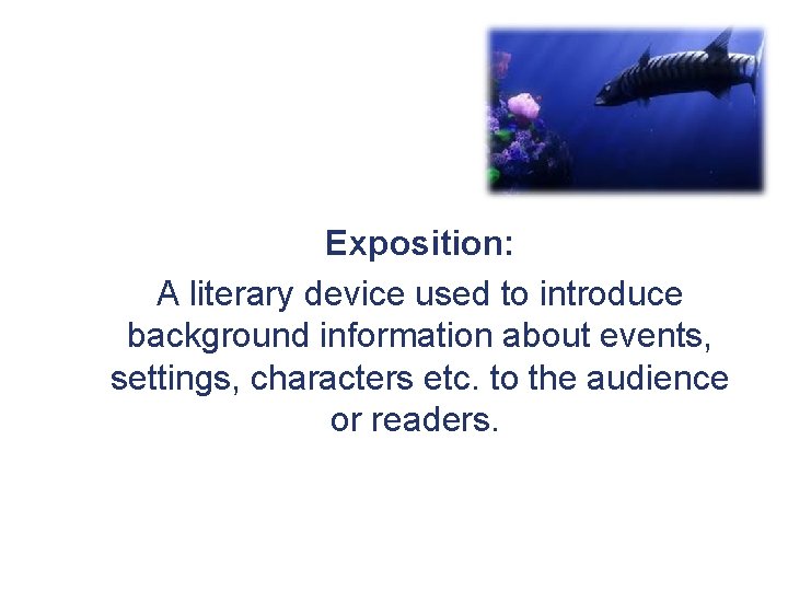 Exposition: A literary device used to introduce background information about events, settings, characters etc.