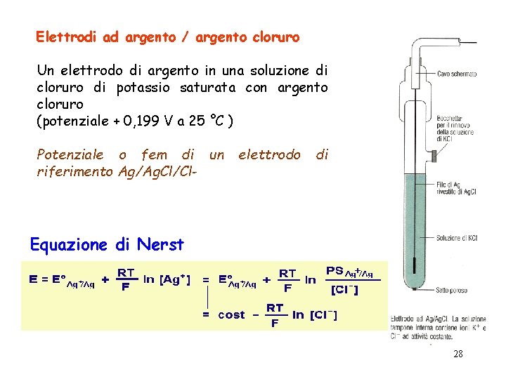 Elettrodi ad argento / argento cloruro Un elettrodo di argento in una soluzione di Elettrodi ad argento / argento cloruro Un elettrodo di argento in una soluzione di