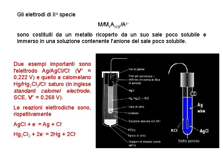 Gli elettrodi di IIa specie M/Mx. Ay(s)/Axsono costituiti da un metallo ricoperto da un