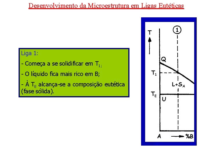 Desenvolvimento da Microestrutura em Ligas Eutéticas Liga 1: - Começa a se solidificar em