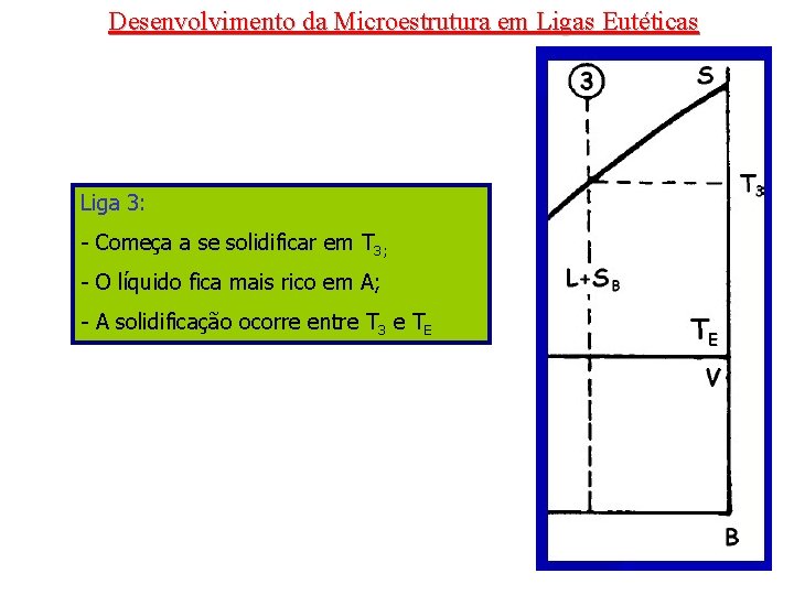 Desenvolvimento da Microestrutura em Ligas Eutéticas Liga 3: - Começa a se solidificar em