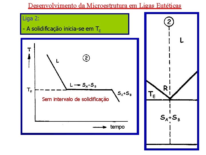 Desenvolvimento da Microestrutura em Ligas Eutéticas Liga 2: - A solidificação inicia-se em TE