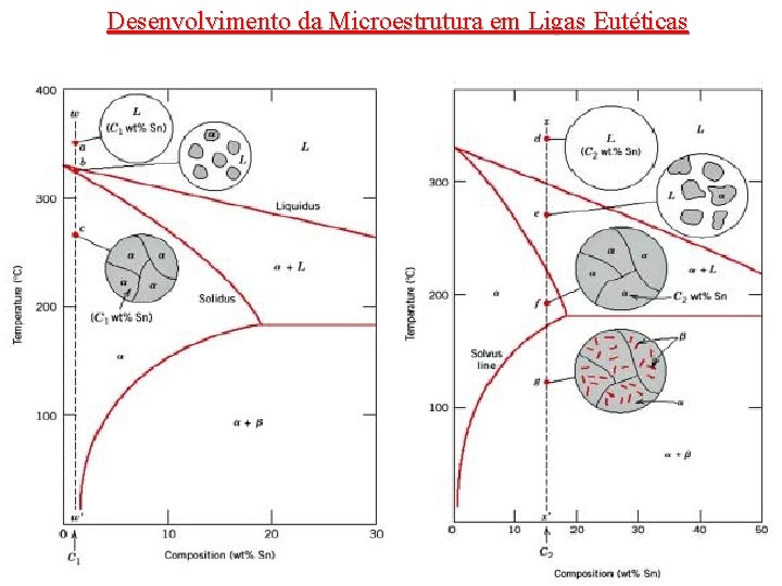 Desenvolvimento da Microestrutura em Ligas Eutéticas 