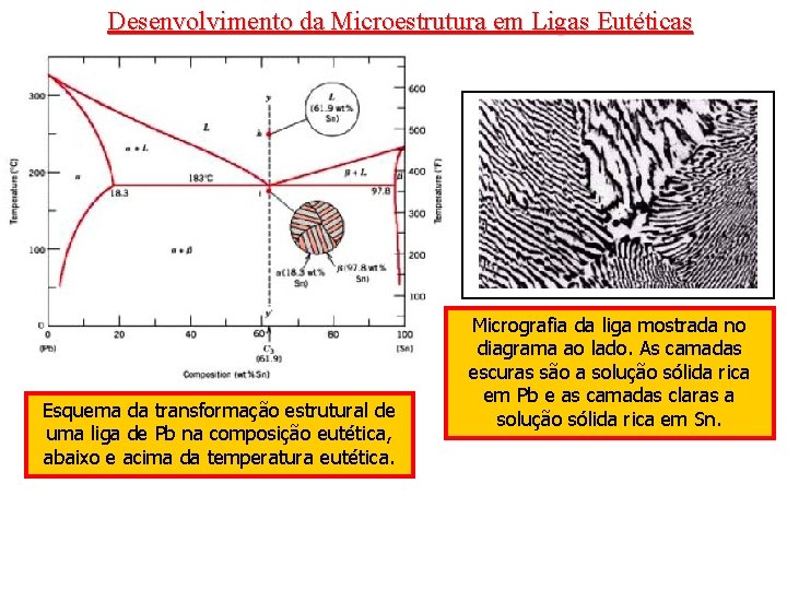 Desenvolvimento da Microestrutura em Ligas Eutéticas Esquema da transformação estrutural de uma liga de