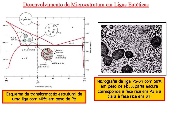 Desenvolvimento da Microestrutura em Ligas Eutéticas Esquema da transformação estrutural de uma liga com