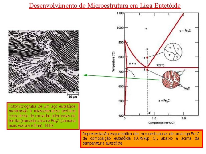 Desenvolvimento de Microestrutura em Liga Eutetóide Fotomicrografia de um aço eutetóide mostrando a microestrutura